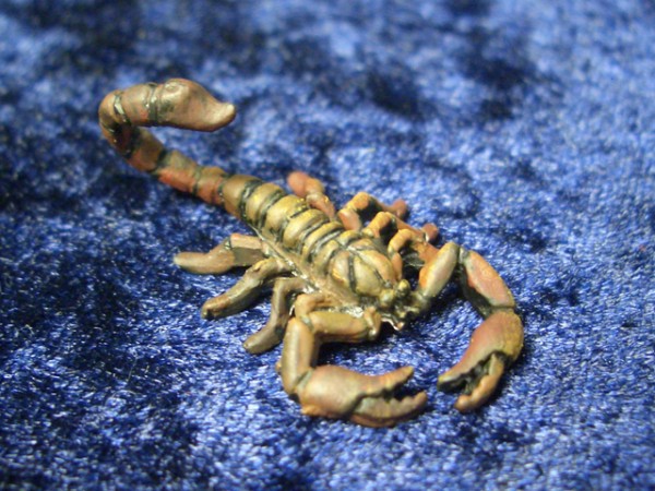 Großer Skorpion